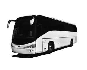 Bus 55pax