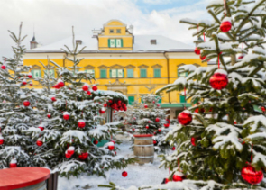 Christmas Markets Tour from Salzburg