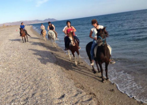 Horseback Riding Tour in Andalucia